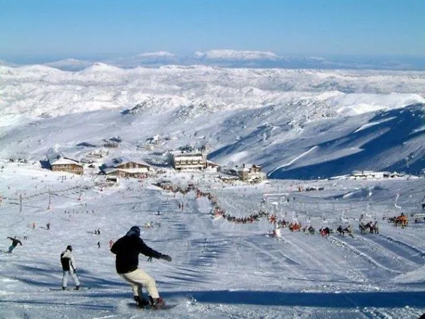 Buenavista Elite * Sierra Nevada